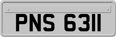 PNS6311
