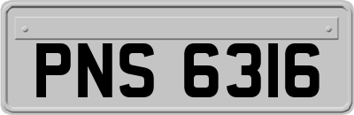 PNS6316