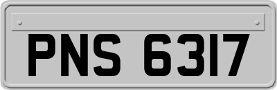 PNS6317