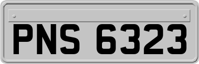 PNS6323