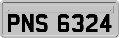 PNS6324