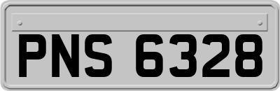 PNS6328