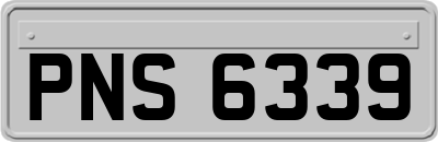 PNS6339