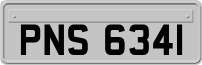 PNS6341