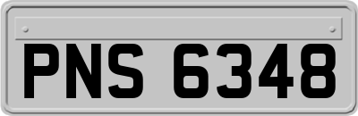 PNS6348