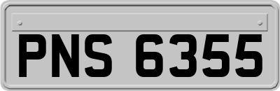 PNS6355