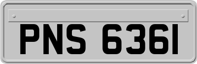 PNS6361