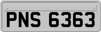 PNS6363