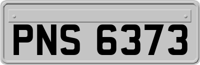 PNS6373
