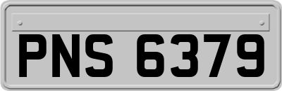 PNS6379