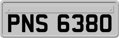 PNS6380
