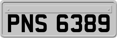 PNS6389