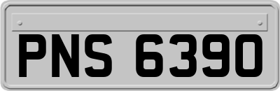 PNS6390