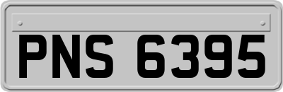 PNS6395