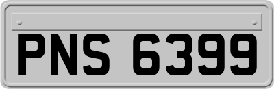 PNS6399