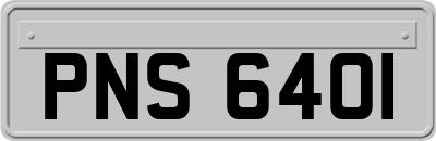 PNS6401
