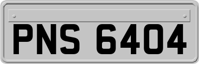 PNS6404