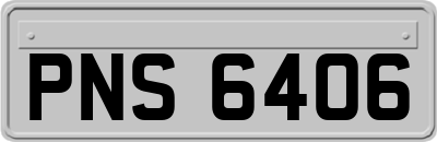 PNS6406