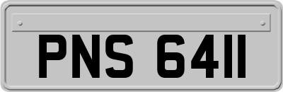 PNS6411
