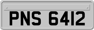 PNS6412
