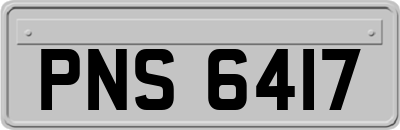 PNS6417