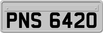 PNS6420