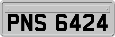 PNS6424