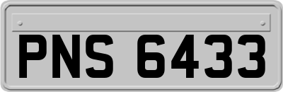 PNS6433