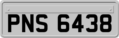 PNS6438