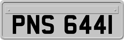 PNS6441