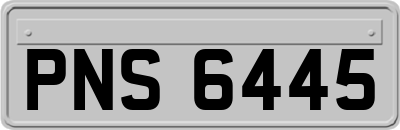 PNS6445