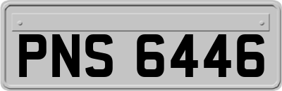 PNS6446
