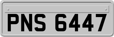 PNS6447