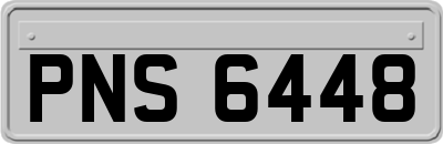 PNS6448