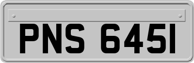 PNS6451