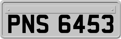 PNS6453