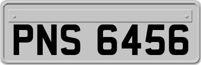 PNS6456