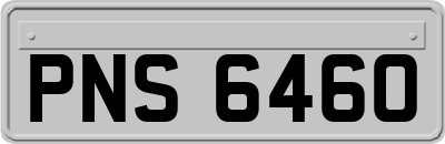PNS6460