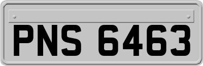 PNS6463