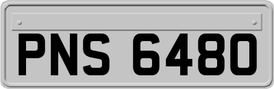 PNS6480
