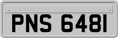 PNS6481