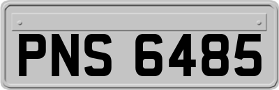 PNS6485