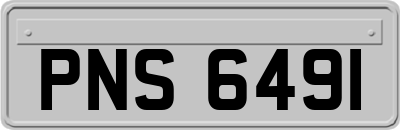 PNS6491