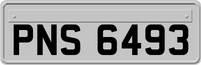 PNS6493