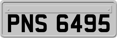 PNS6495
