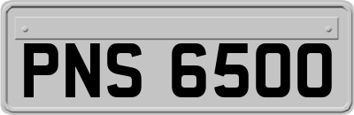 PNS6500