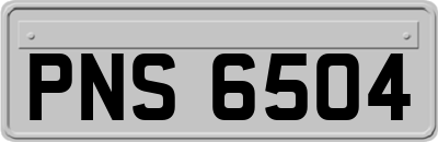 PNS6504