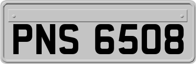 PNS6508