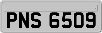 PNS6509