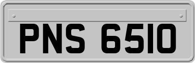 PNS6510